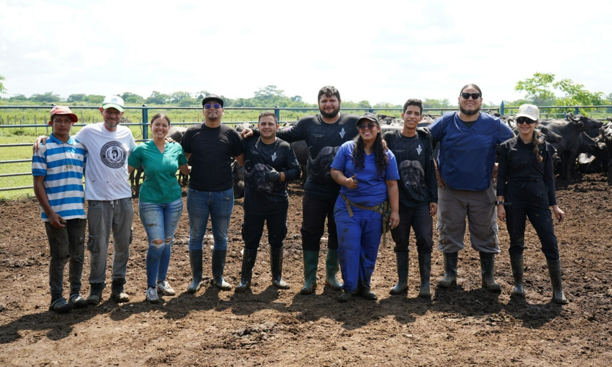 Foto: Cortesía Prensa MinComunas / Se elevan la producción en Cojedes, implementando‎ tecnología de vanguardia y organización Comunal.